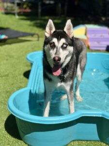 715f170c-0483-4f36-965d-de0caeb945df