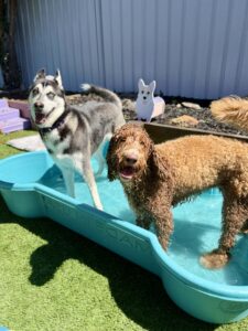 8f849ccb-ad6b-4dfa-95f3-7b13b93add23