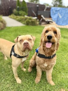 b23caaf7-86d9-45e2-a1d2-ef9bdc80d675