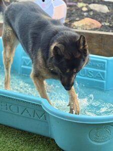 d4083418-96ef-4224-8d42-0c1d06ffaa9f