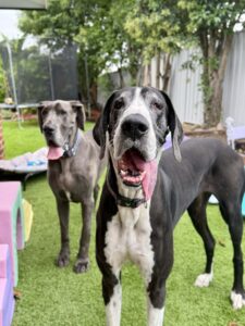 de51c8d0-c7b6-4281-a39c-ce3299cc6008