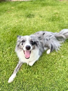 fd477c34-59c1-4927-beb2-48416cc5ade8