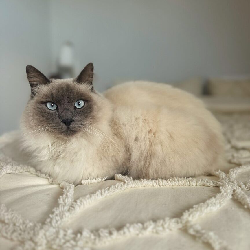 469208680_17896629714098558_6455846603463970680_n