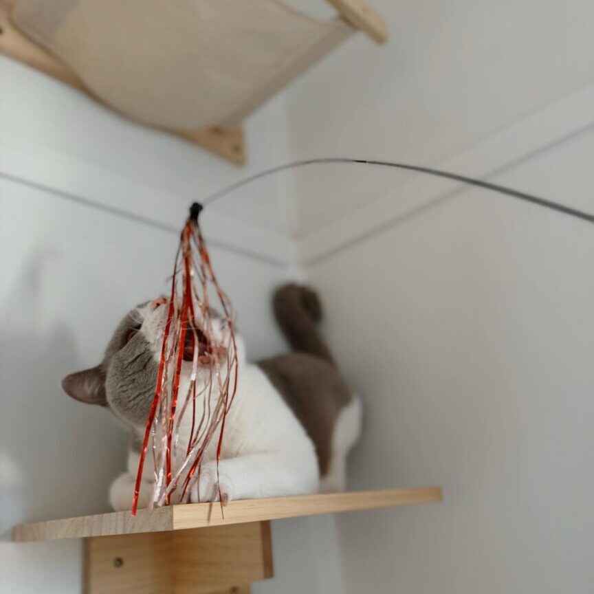 469310063_17896626948098558_7939813219419560594_n