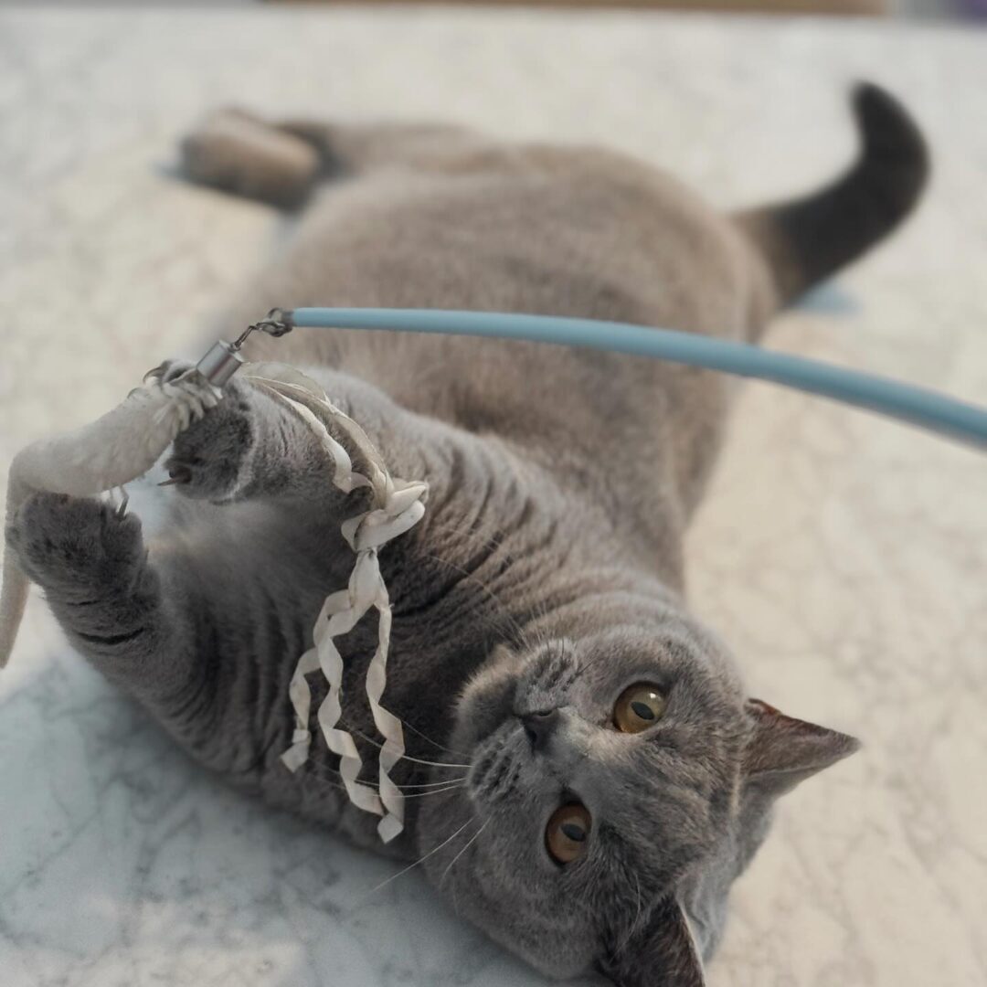 469360765_17896625847098558_1638911208368896444_n (1)