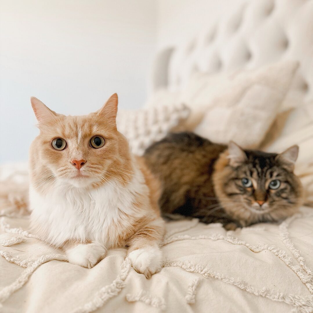 472732406_17900759883098558_5293902988664943859_n