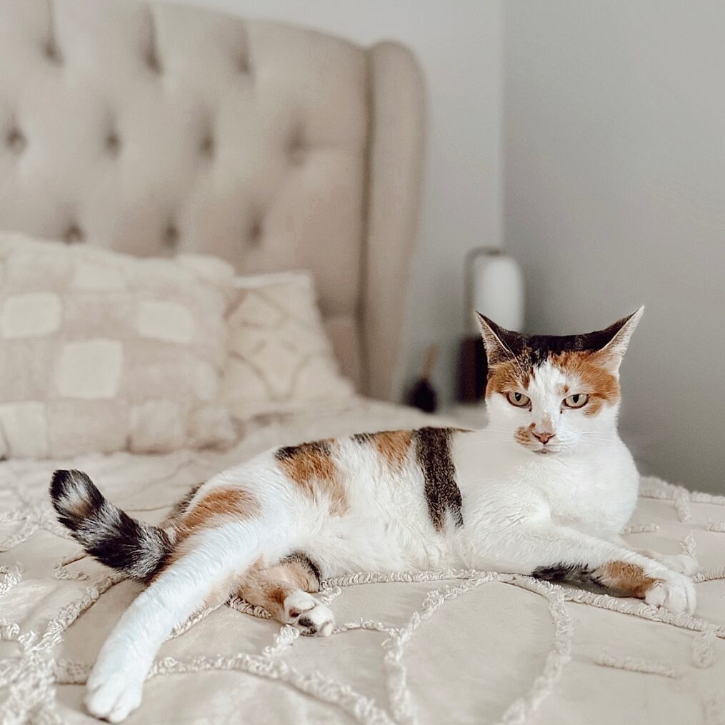 476243641_17904335895098558_5151644382966904273_n