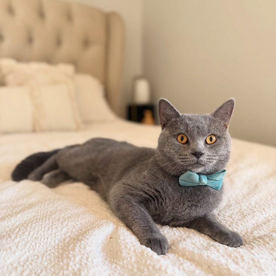 503005974_17918749281098558_2655874580757043665_n