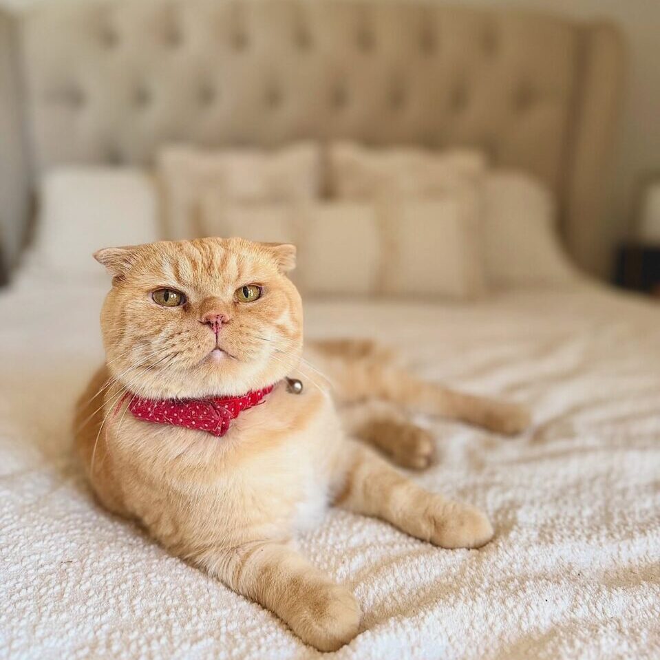 503068171_17918748477098558_7555470337479495186_n (1)