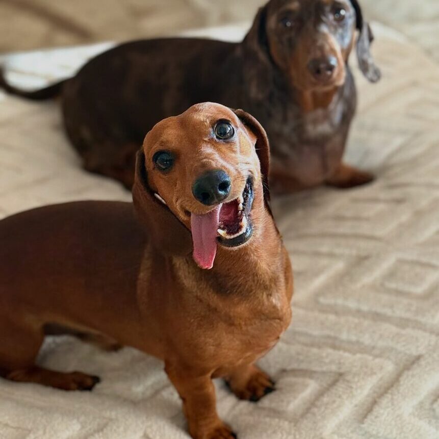 505170806_17920081050098558_4881426672480403561_n