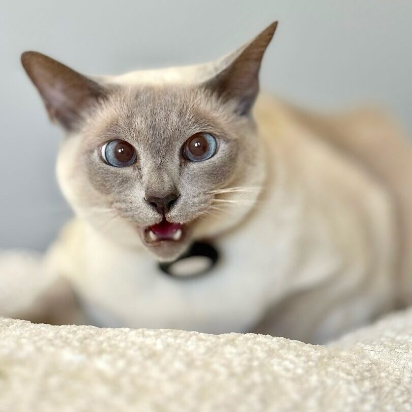 523368957_17925288990098558_4693049177342549763_n