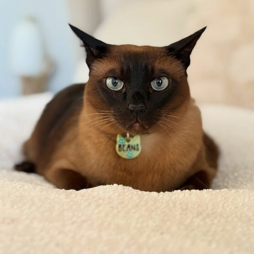 524370801_17925288972098558_5017765915887010886_n (2)