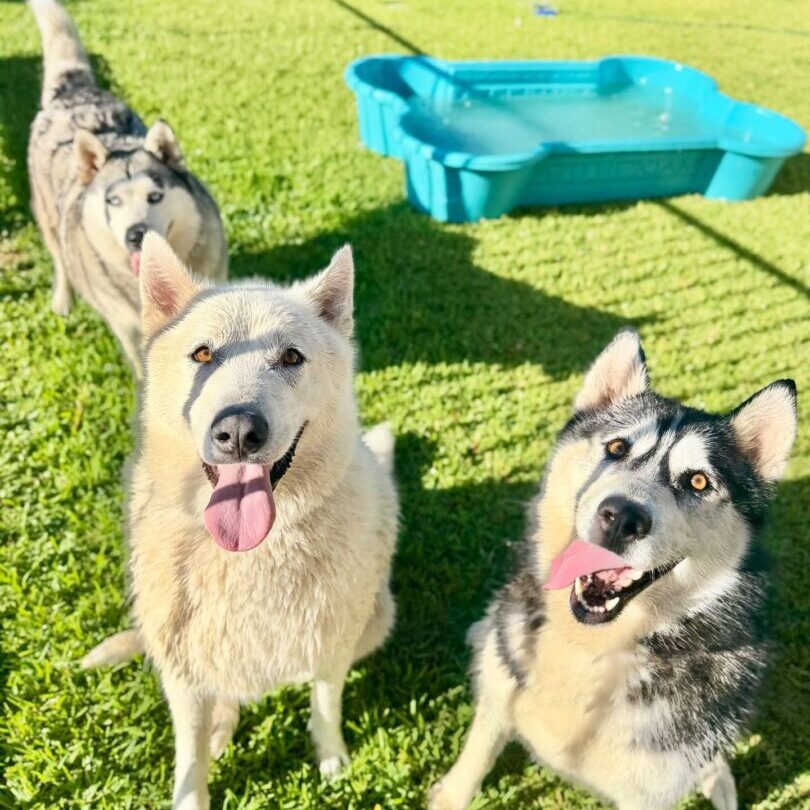 587810552_17940676503098558_1485315909222948693_n