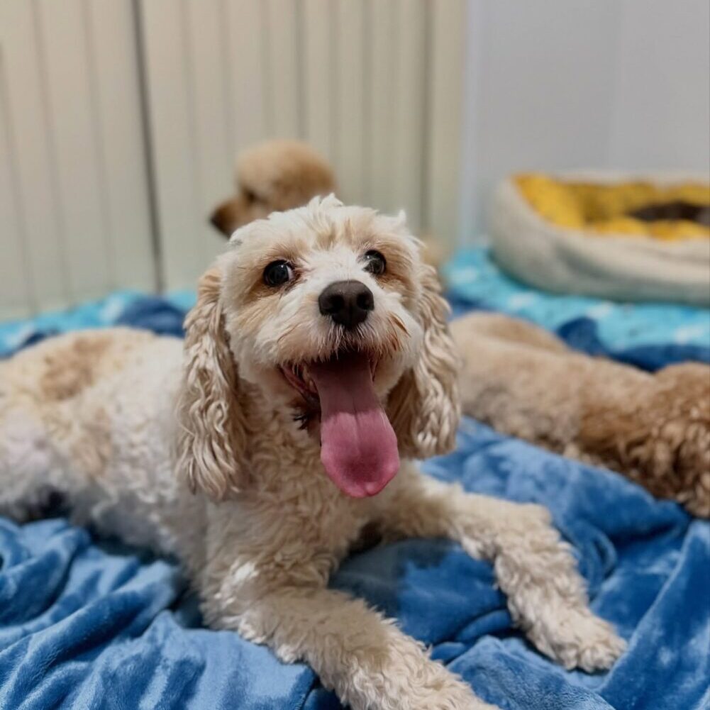 588017995_17942025936098558_655909404003843088_n