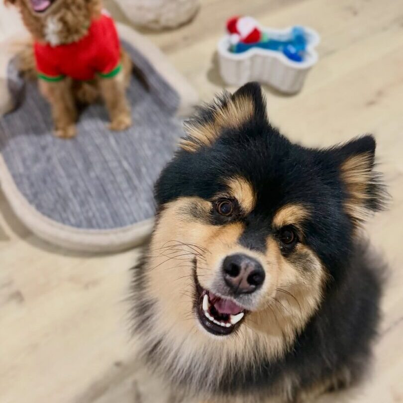 604113057_17942654913098558_2506167005874561423_n