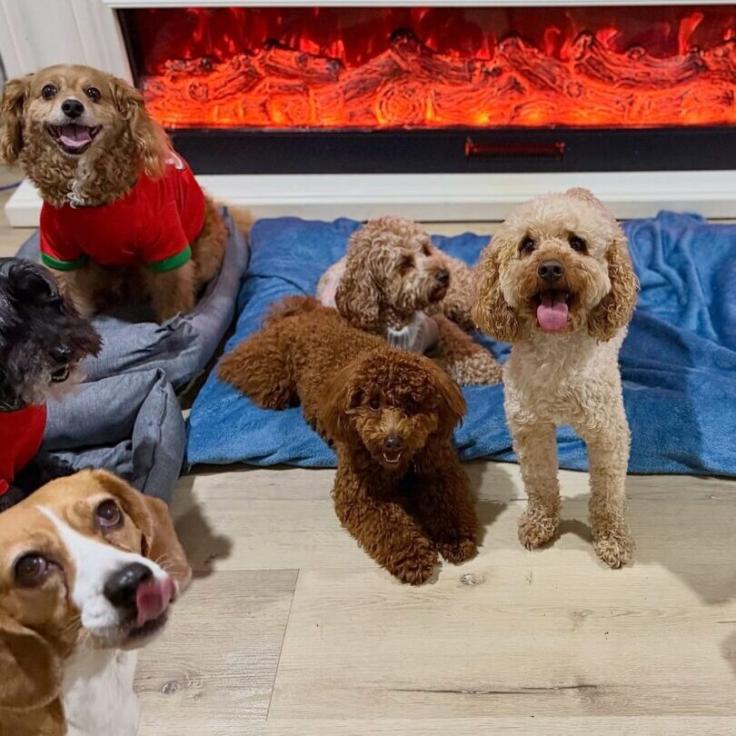 604431818_17942654886098558_1387776692465865799_n