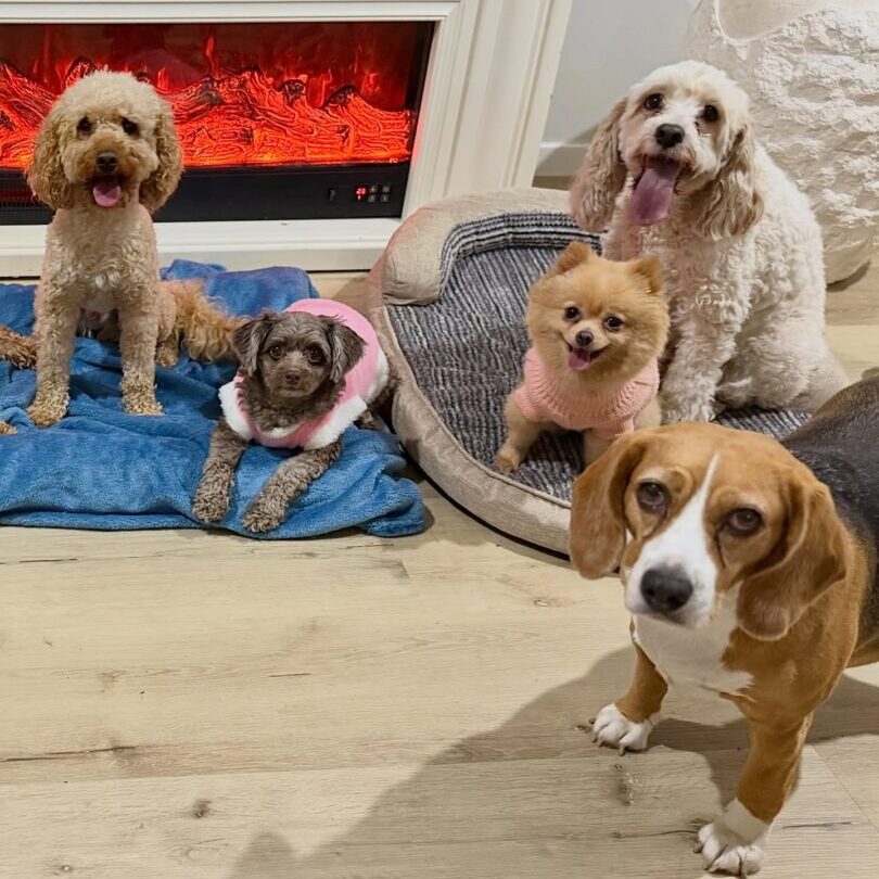 604553131_17942654895098558_1419971138285057240_n