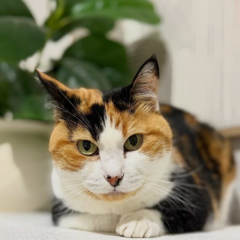 631944558_17949852756098558_3447653609454202113_n