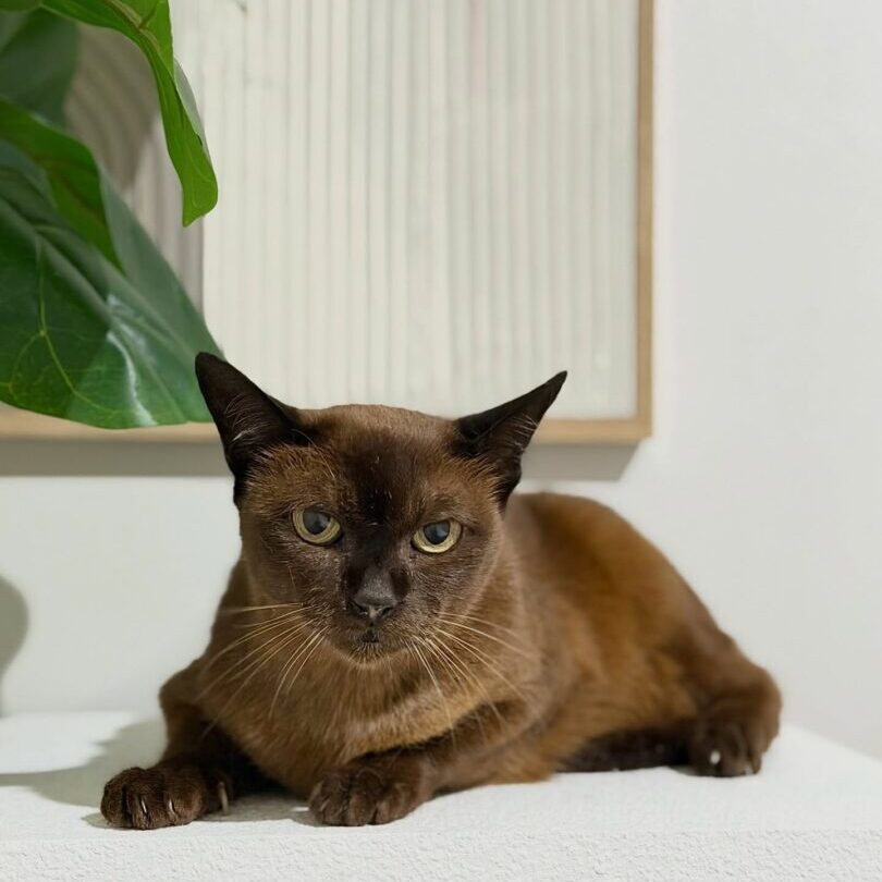 637103876_17949852744098558_5631626649351642332_n