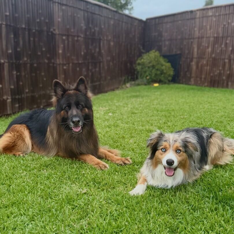 637710959_17950490289098558_8708527810767658315_n (1)