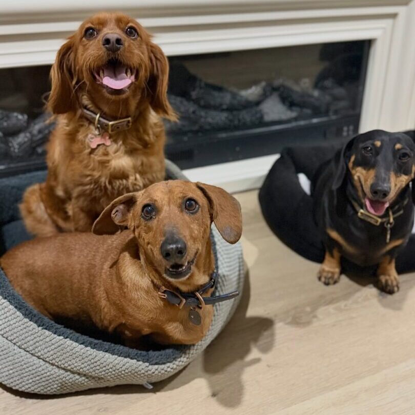 640399590_17952182943098558_1791654862150899911_n