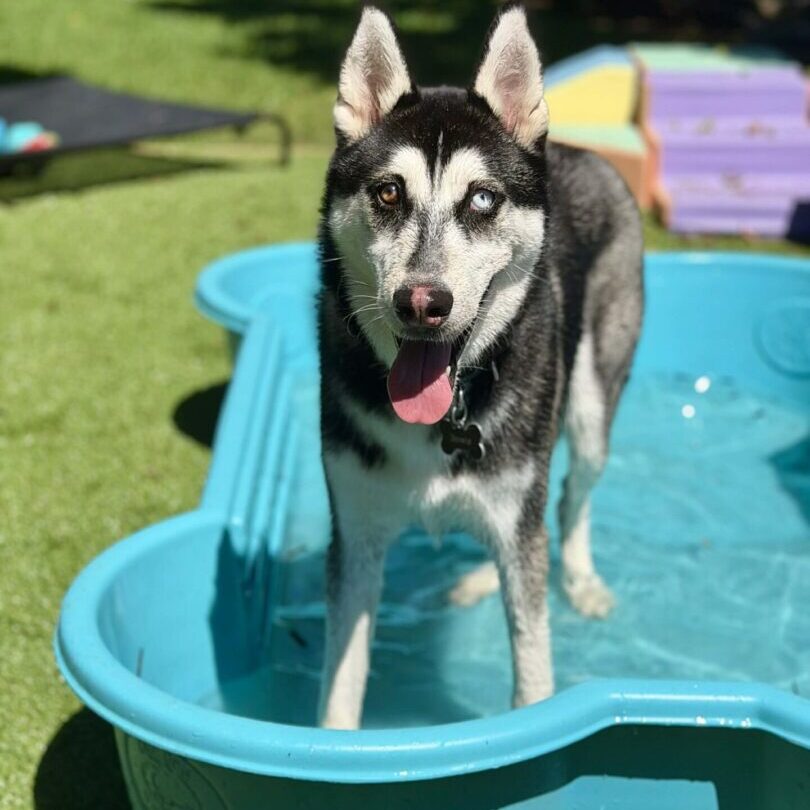 715f170c-0483-4f36-965d-de0caeb945df