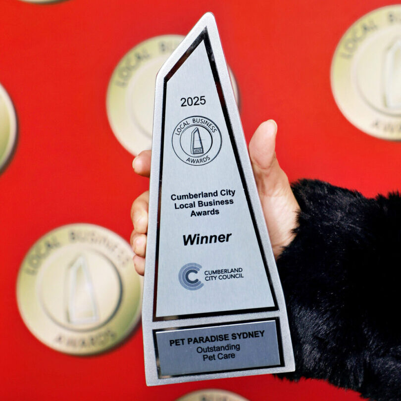 D3AD9C77-B2FB-4091-ABF6-1755873378D3